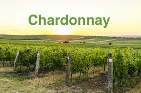 OSOV Chardonnay-Verkostung