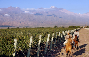 ARGENTINIEN - Faszination Weinbau zwischen Anden und Wüste 