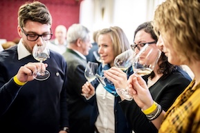 Der neue Weinviertel DAC-Jahrgang 2024 geht auf Tour!