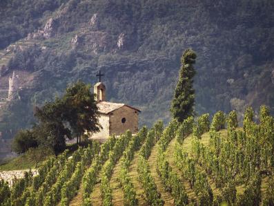 Rh&ocirc;ne-Verkostung mit Willi Balanjuk