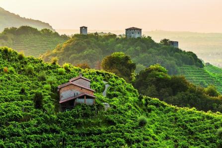 Prosecco Conegliano Valdobbiadene DOCG mit Eros Teboni