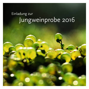 Jungweinprobe 2016 im Weingut Schwarzböck