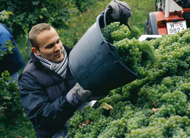 Rainer Christ: Jetzt mit eigenem Bio-Weingut am Wiener Bisamberg