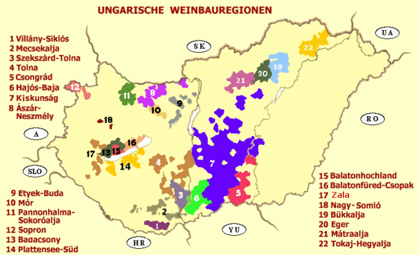 Ungarns Weine‐ unglaubliche Vielfalt