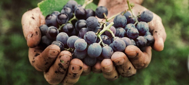 Orange & Natural Wines im Punkt 404 