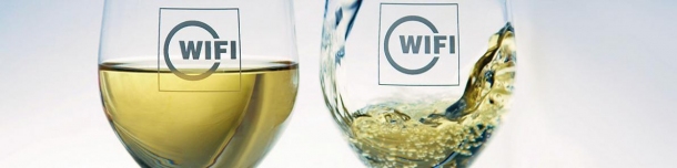 Vorverkostung WIFI Weinfrühling