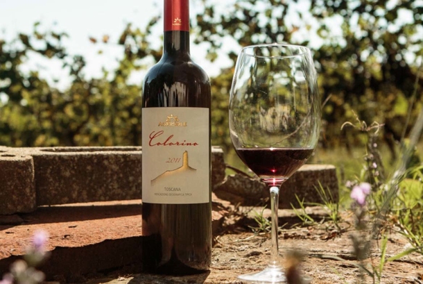 orbis vinorum Weinverkostung: Premiumweine aus der Toskana
