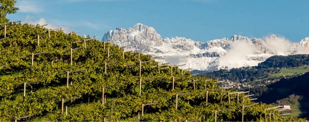Kulinarisch-Önologische Reise durch Südtirol